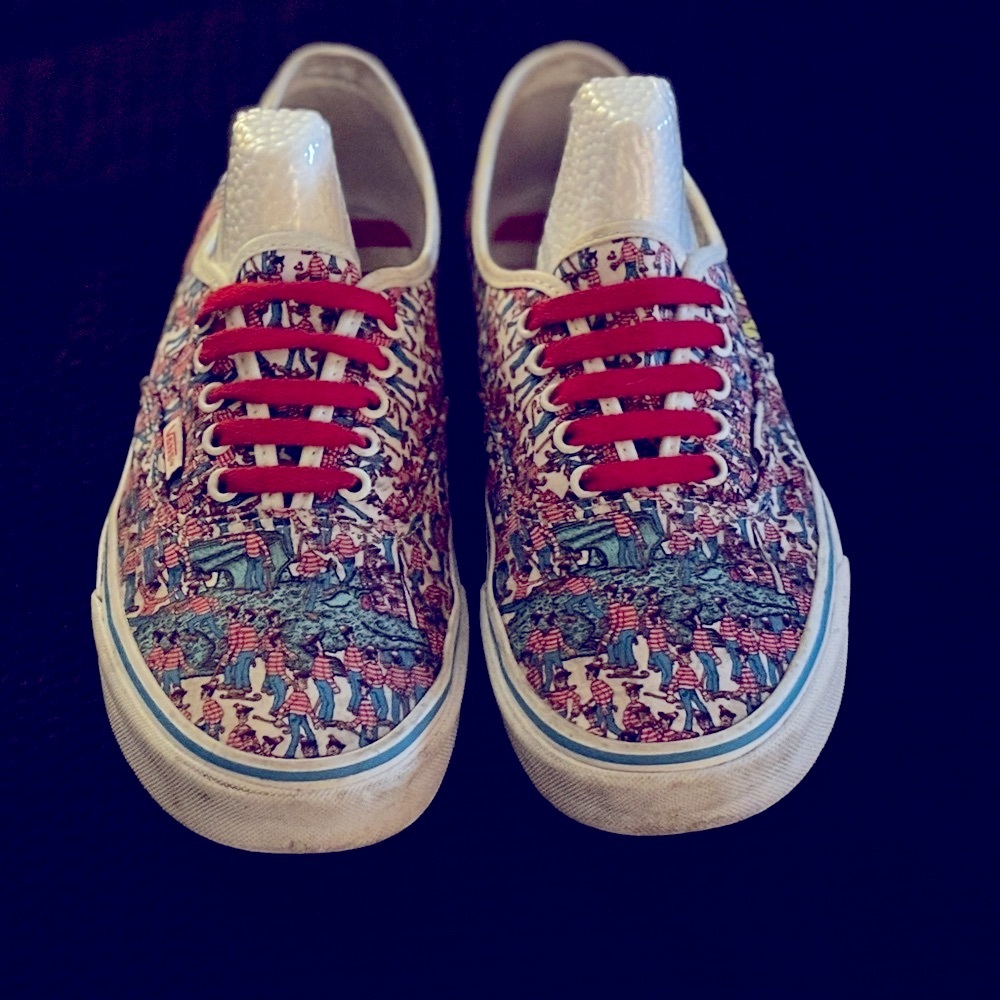 VANS X Waldo Skate Shoes